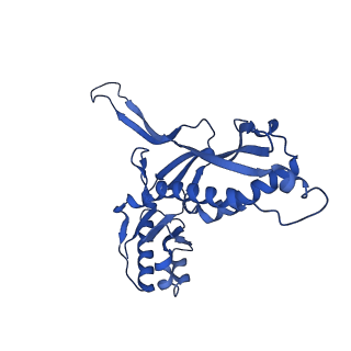 21810_6wkv_0_v1-1
Cryo-EM structure of engineered variant of the Encapsulin from Thermotoga maritima (TmE)