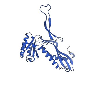 21810_6wkv_1_v1-0
Cryo-EM structure of engineered variant of the Encapsulin from Thermotoga maritima (TmE)