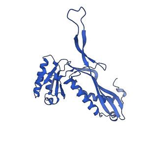 21810_6wkv_1_v1-1
Cryo-EM structure of engineered variant of the Encapsulin from Thermotoga maritima (TmE)