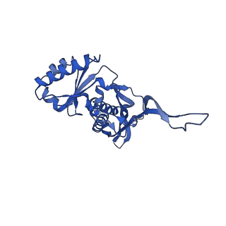 21810_6wkv_2_v1-0
Cryo-EM structure of engineered variant of the Encapsulin from Thermotoga maritima (TmE)