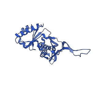 21810_6wkv_2_v1-1
Cryo-EM structure of engineered variant of the Encapsulin from Thermotoga maritima (TmE)