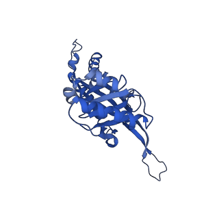 21810_6wkv_3_v1-0
Cryo-EM structure of engineered variant of the Encapsulin from Thermotoga maritima (TmE)