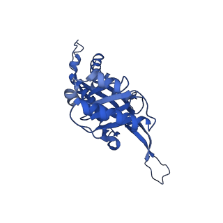 21810_6wkv_3_v1-1
Cryo-EM structure of engineered variant of the Encapsulin from Thermotoga maritima (TmE)