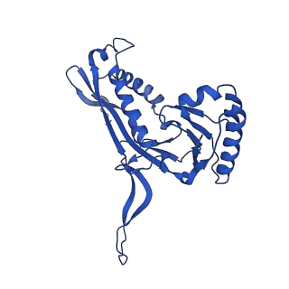 21810_6wkv_4_v1-1
Cryo-EM structure of engineered variant of the Encapsulin from Thermotoga maritima (TmE)