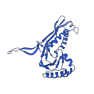 21810_6wkv_5_v1-0
Cryo-EM structure of engineered variant of the Encapsulin from Thermotoga maritima (TmE)
