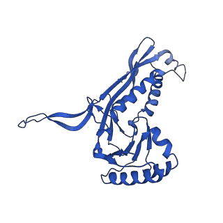 21810_6wkv_5_v1-1
Cryo-EM structure of engineered variant of the Encapsulin from Thermotoga maritima (TmE)