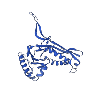 21810_6wkv_6_v1-1
Cryo-EM structure of engineered variant of the Encapsulin from Thermotoga maritima (TmE)