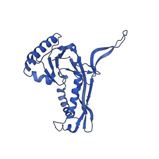 21810_6wkv_7_v1-1
Cryo-EM structure of engineered variant of the Encapsulin from Thermotoga maritima (TmE)