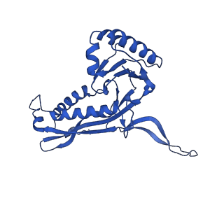 21810_6wkv_8_v1-1
Cryo-EM structure of engineered variant of the Encapsulin from Thermotoga maritima (TmE)