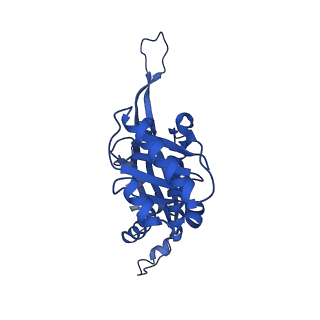 21810_6wkv_9_v1-0
Cryo-EM structure of engineered variant of the Encapsulin from Thermotoga maritima (TmE)