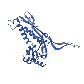 21810_6wkv_A_v1-0
Cryo-EM structure of engineered variant of the Encapsulin from Thermotoga maritima (TmE)