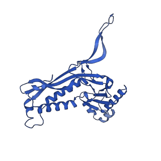 21810_6wkv_B_v1-0
Cryo-EM structure of engineered variant of the Encapsulin from Thermotoga maritima (TmE)