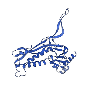 21810_6wkv_B_v1-1
Cryo-EM structure of engineered variant of the Encapsulin from Thermotoga maritima (TmE)