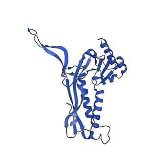 21810_6wkv_C_v1-0
Cryo-EM structure of engineered variant of the Encapsulin from Thermotoga maritima (TmE)