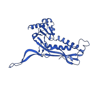 21810_6wkv_D_v1-0
Cryo-EM structure of engineered variant of the Encapsulin from Thermotoga maritima (TmE)