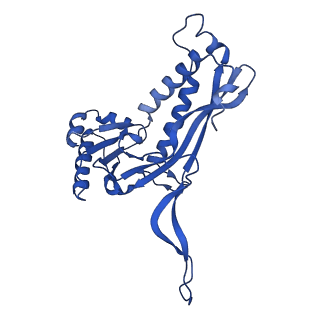 21810_6wkv_E_v1-0
Cryo-EM structure of engineered variant of the Encapsulin from Thermotoga maritima (TmE)