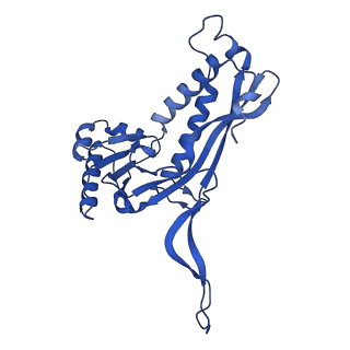 21810_6wkv_E_v1-1
Cryo-EM structure of engineered variant of the Encapsulin from Thermotoga maritima (TmE)