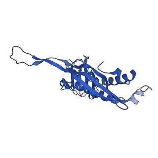 21810_6wkv_F_v1-1
Cryo-EM structure of engineered variant of the Encapsulin from Thermotoga maritima (TmE)