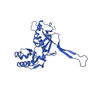 21810_6wkv_H_v1-1
Cryo-EM structure of engineered variant of the Encapsulin from Thermotoga maritima (TmE)