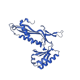 21810_6wkv_I_v1-0
Cryo-EM structure of engineered variant of the Encapsulin from Thermotoga maritima (TmE)