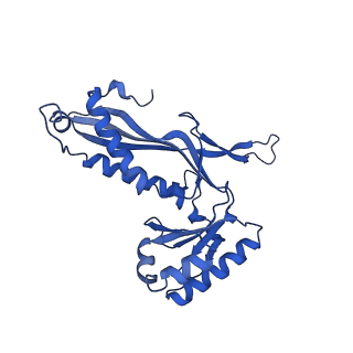 21810_6wkv_I_v1-1
Cryo-EM structure of engineered variant of the Encapsulin from Thermotoga maritima (TmE)