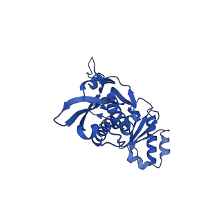 21810_6wkv_J_v1-1
Cryo-EM structure of engineered variant of the Encapsulin from Thermotoga maritima (TmE)