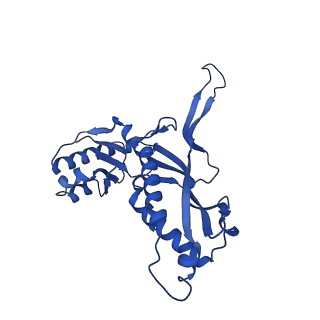 21810_6wkv_K_v1-0
Cryo-EM structure of engineered variant of the Encapsulin from Thermotoga maritima (TmE)