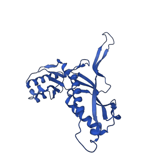 21810_6wkv_K_v1-1
Cryo-EM structure of engineered variant of the Encapsulin from Thermotoga maritima (TmE)