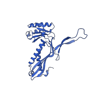 21810_6wkv_L_v1-0
Cryo-EM structure of engineered variant of the Encapsulin from Thermotoga maritima (TmE)