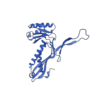 21810_6wkv_L_v1-1
Cryo-EM structure of engineered variant of the Encapsulin from Thermotoga maritima (TmE)