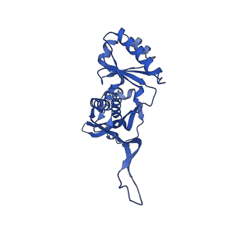 21810_6wkv_M_v1-0
Cryo-EM structure of engineered variant of the Encapsulin from Thermotoga maritima (TmE)
