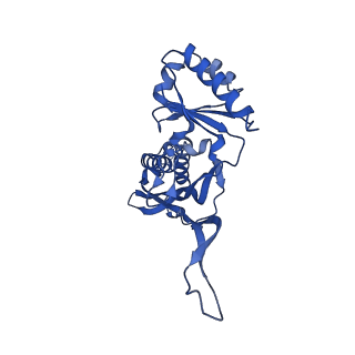 21810_6wkv_M_v1-1
Cryo-EM structure of engineered variant of the Encapsulin from Thermotoga maritima (TmE)