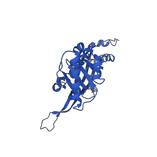 21810_6wkv_N_v1-0
Cryo-EM structure of engineered variant of the Encapsulin from Thermotoga maritima (TmE)