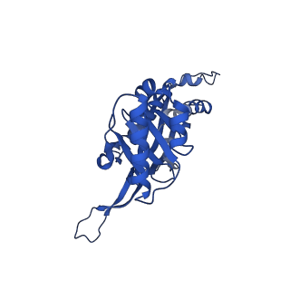 21810_6wkv_N_v1-1
Cryo-EM structure of engineered variant of the Encapsulin from Thermotoga maritima (TmE)