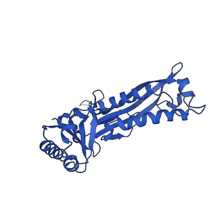 21810_6wkv_O_v1-0
Cryo-EM structure of engineered variant of the Encapsulin from Thermotoga maritima (TmE)