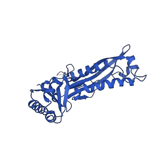 21810_6wkv_O_v1-1
Cryo-EM structure of engineered variant of the Encapsulin from Thermotoga maritima (TmE)