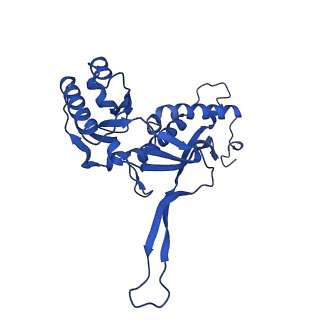 21810_6wkv_P_v1-0
Cryo-EM structure of engineered variant of the Encapsulin from Thermotoga maritima (TmE)