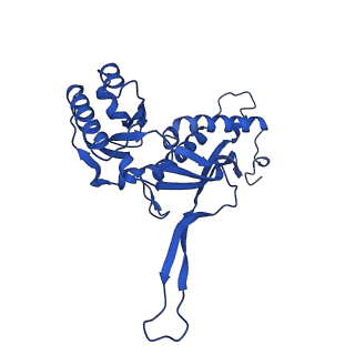 21810_6wkv_P_v1-1
Cryo-EM structure of engineered variant of the Encapsulin from Thermotoga maritima (TmE)