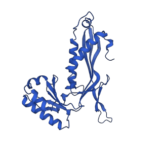 21810_6wkv_Q_v1-0
Cryo-EM structure of engineered variant of the Encapsulin from Thermotoga maritima (TmE)