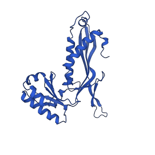 21810_6wkv_Q_v1-1
Cryo-EM structure of engineered variant of the Encapsulin from Thermotoga maritima (TmE)