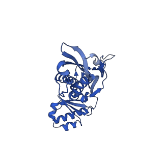 21810_6wkv_R_v1-0
Cryo-EM structure of engineered variant of the Encapsulin from Thermotoga maritima (TmE)