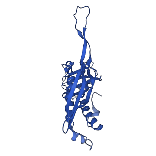 21810_6wkv_S_v1-0
Cryo-EM structure of engineered variant of the Encapsulin from Thermotoga maritima (TmE)