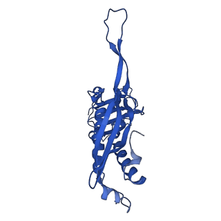 21810_6wkv_S_v1-1
Cryo-EM structure of engineered variant of the Encapsulin from Thermotoga maritima (TmE)