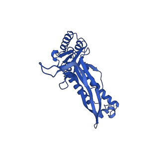 21810_6wkv_T_v1-0
Cryo-EM structure of engineered variant of the Encapsulin from Thermotoga maritima (TmE)