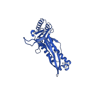 21810_6wkv_T_v1-1
Cryo-EM structure of engineered variant of the Encapsulin from Thermotoga maritima (TmE)