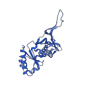 21810_6wkv_U_v1-0
Cryo-EM structure of engineered variant of the Encapsulin from Thermotoga maritima (TmE)