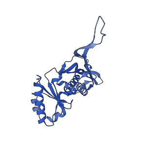 21810_6wkv_U_v1-1
Cryo-EM structure of engineered variant of the Encapsulin from Thermotoga maritima (TmE)