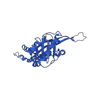 21810_6wkv_V_v1-0
Cryo-EM structure of engineered variant of the Encapsulin from Thermotoga maritima (TmE)