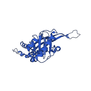 21810_6wkv_V_v1-1
Cryo-EM structure of engineered variant of the Encapsulin from Thermotoga maritima (TmE)