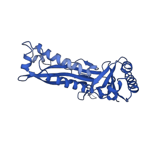 21810_6wkv_W_v1-0
Cryo-EM structure of engineered variant of the Encapsulin from Thermotoga maritima (TmE)